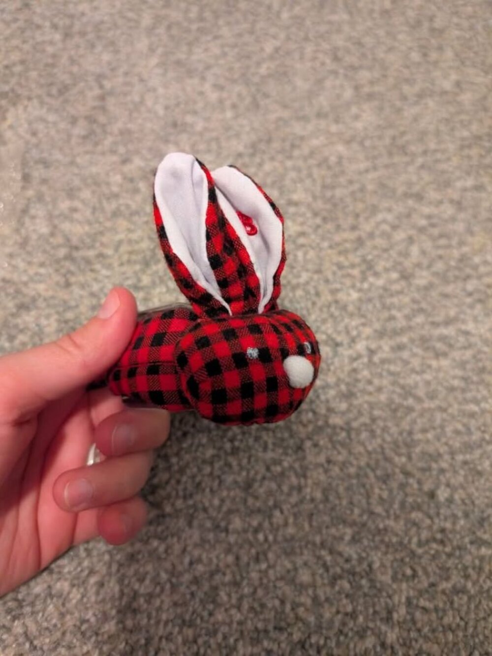 Boo boo bunny